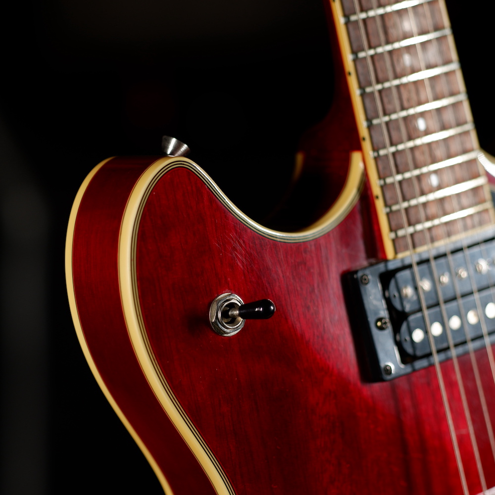 Washburn HB30 2008 Leo & Ted's Electric Guitars