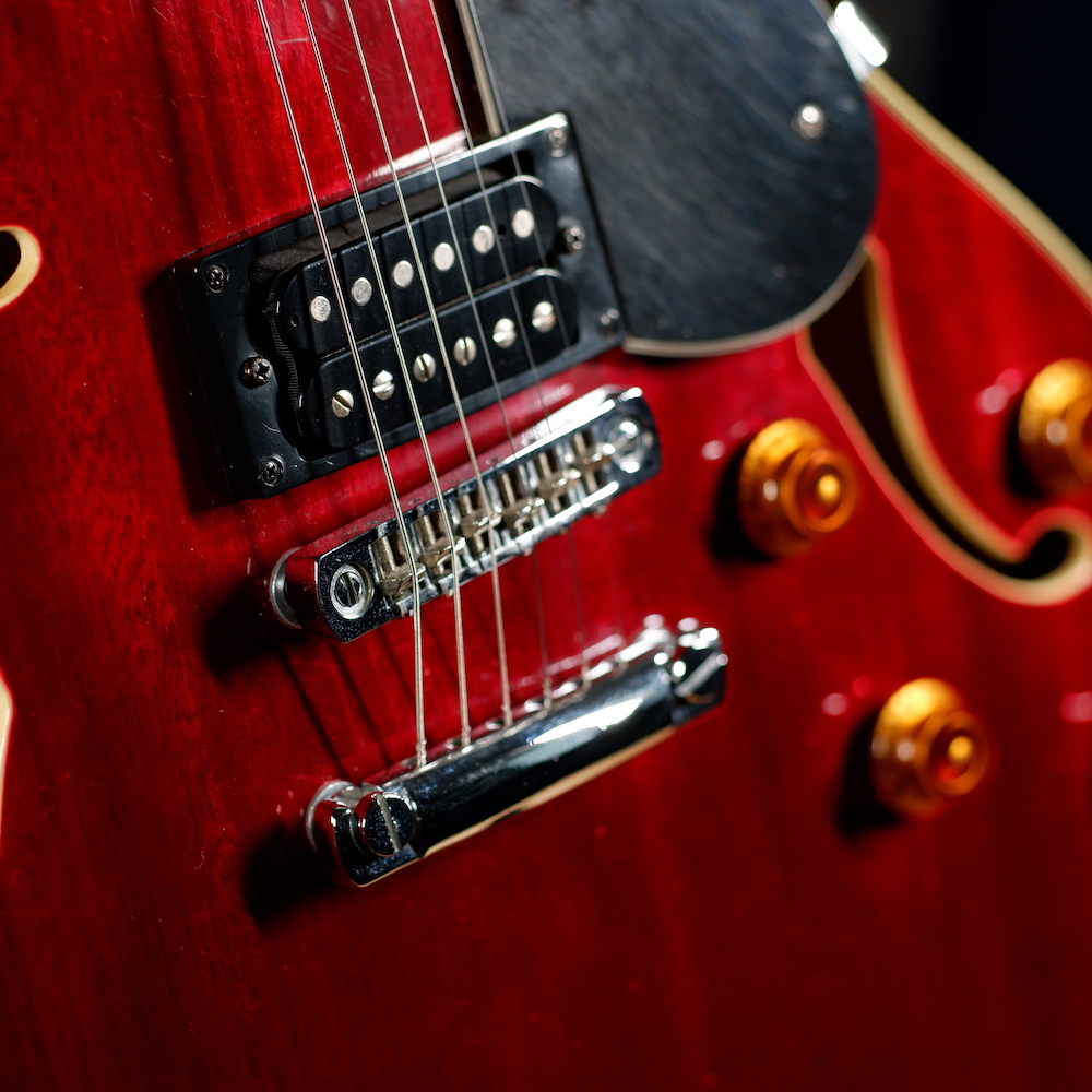 Washburn HB30 2008 Leo & Ted's Electric Guitars