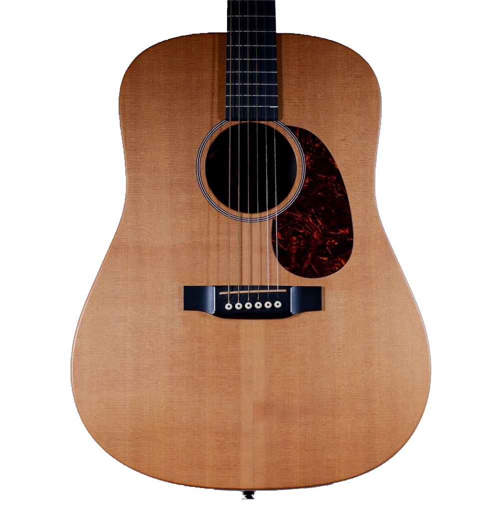 Martin DX1RAE Dreadnought 2012 Leo & Ted